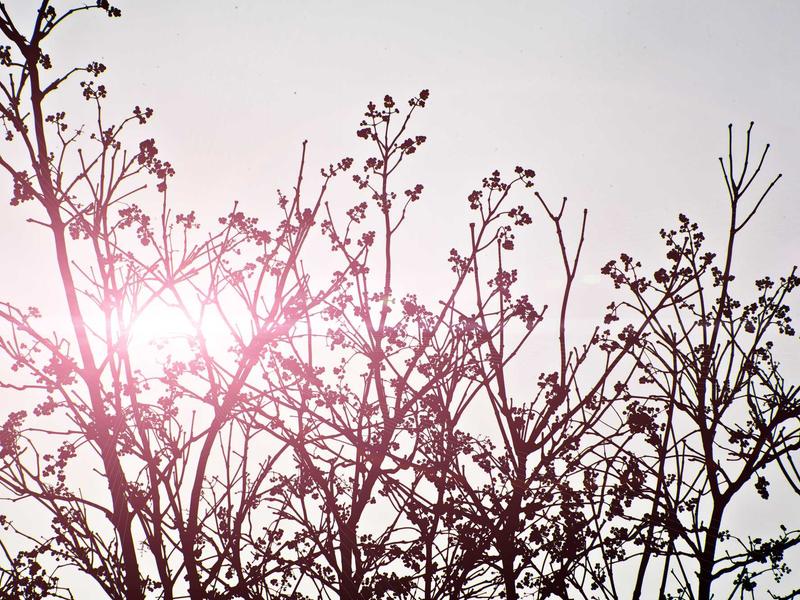 sudoku cross hatching screenshot 3